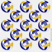 economical set of 13 volleyball team colors sticker (Front)