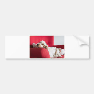ecs orange and white chillin bumper sticker