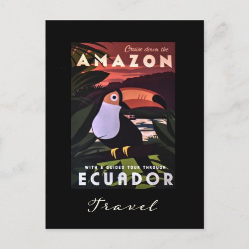 Ecuador Amazon Colorful Bird Vintage Travel Postcard