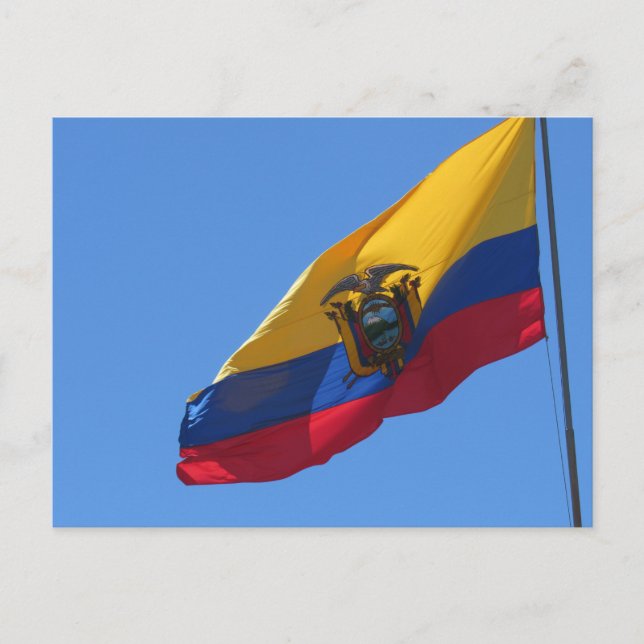 ecuador flag postcard (Front)