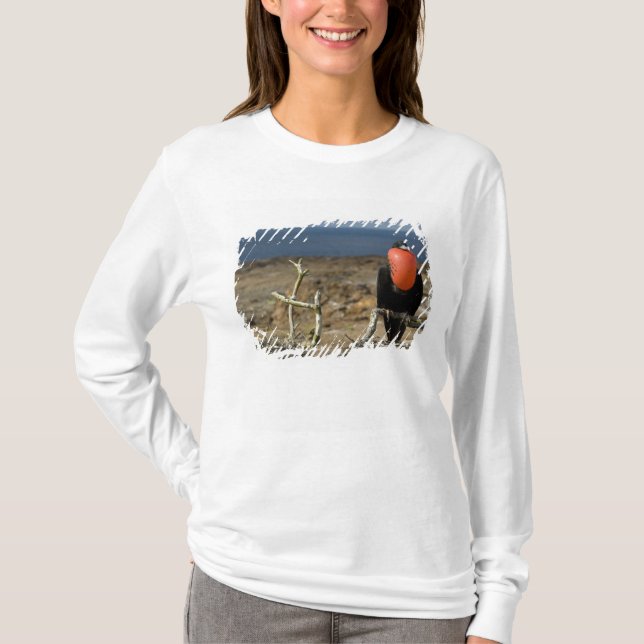 Ecuador, Galapagos, Genovesa Island. Prince T-Shirt (Front)