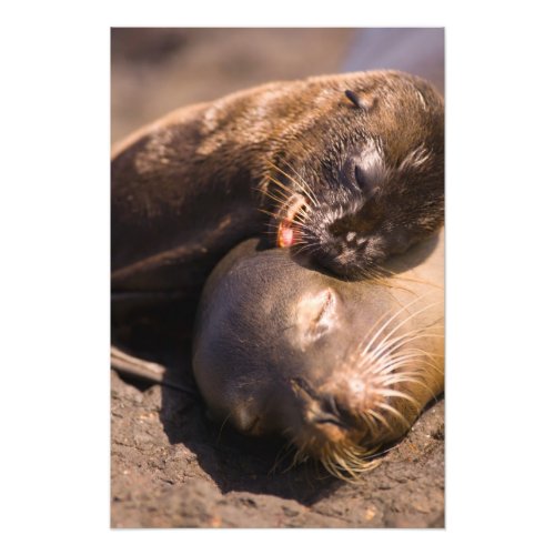 Ecuador Galapagos Islands National Park Photo Print