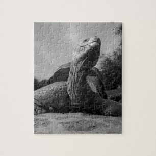 Ecuador, Galapagos Islands National Park, Santa Jigsaw Puzzle