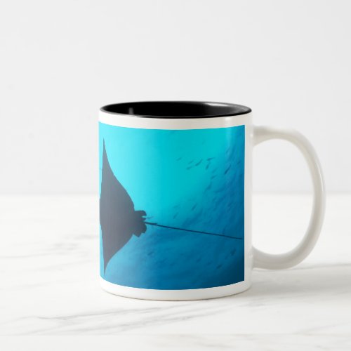 Ecuador Galapagos Islands National Park Wolf Two_Tone Coffee Mug