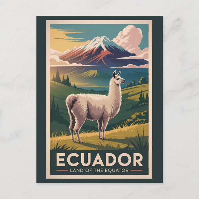Ecuador Llama Illustration Travel Art Vintage Postcard (Front)