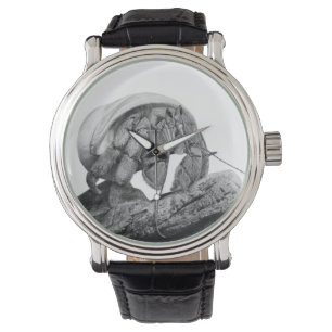 Ecuadorian Hermit Crab C. Compressus Watch