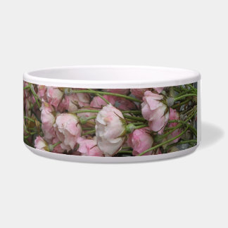 Écuelle pour animaux en céramique bowl