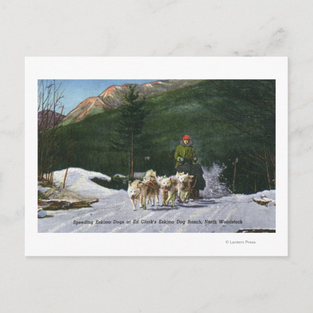 Ed Clark's Eskimo Dog Ranch, Dogsledding Postcard (Front)