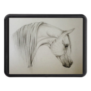 Ed G Trailer hitch cover