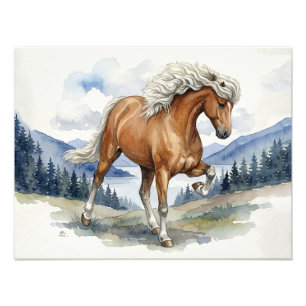 Edda Silver bay Icelandic Horse in the Mountains S Photo Print