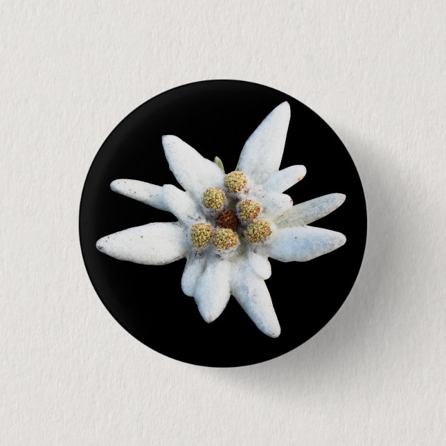 Edelweiss Alpine Flower Button (Front)