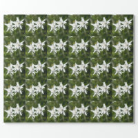 Pretty edelweiss pattern wrapping paper sheets