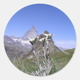 Edelweiss and Matterhorn Classic Round Sticker