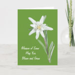 Edelweiss Card at Zazzle