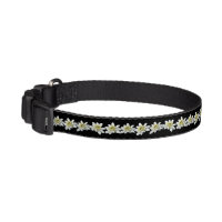 Edelweiss dog clearance collar