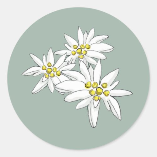 Edelweiss Elegant Hand-Drawn Wildflowers Envelope  Classic Round Sticker