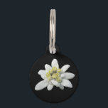 Edelweiss Floral Dog Tag<br><div class="desc">Pretty dog tag done in black, with a close up photo of the Alpine flower Edelweiss, on the front. Custom white text, on the back of the tag is ready to personalize to suit your needs. Great with our matching edelweiss pet collar and leash.</div>