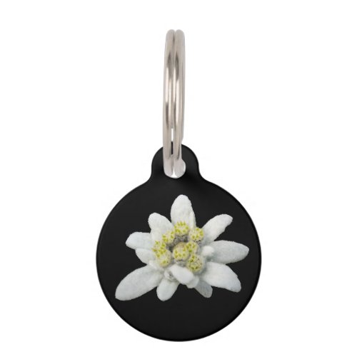 Edelweiss Floral Dog Tag