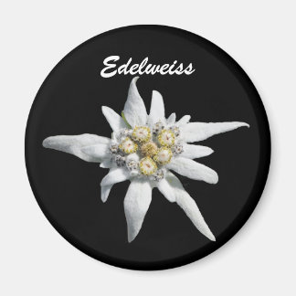 Edelweiss Flower Bloom Magnet