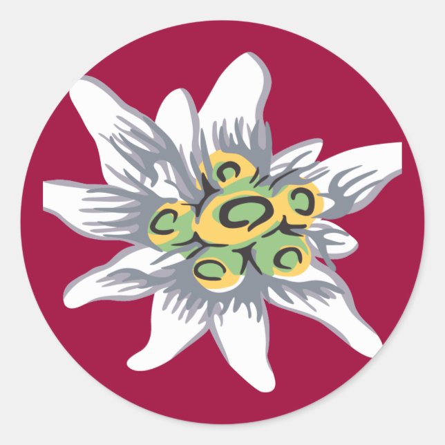 Edelweiss flower classic round sticker (Front)