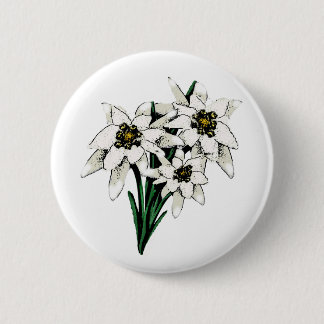 Edelweiss Flowers Button