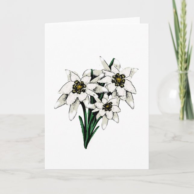 Edelweiss Flowers Card (Front)