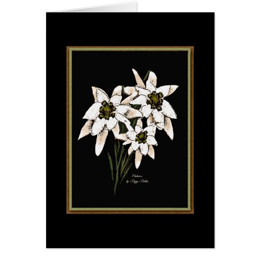 Edelweiss Flowers Cards (Front)
