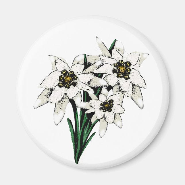 Edelweiss Flowers Magnet (Front)