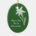 Edelweiss Ornament at Zazzle