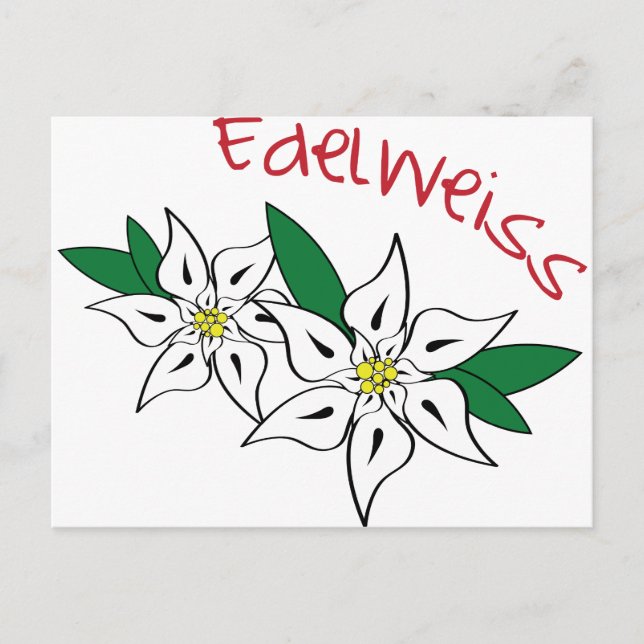 Edelweiss Postcard (Front)