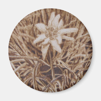 Edelweiss - Stella alpina Magnet