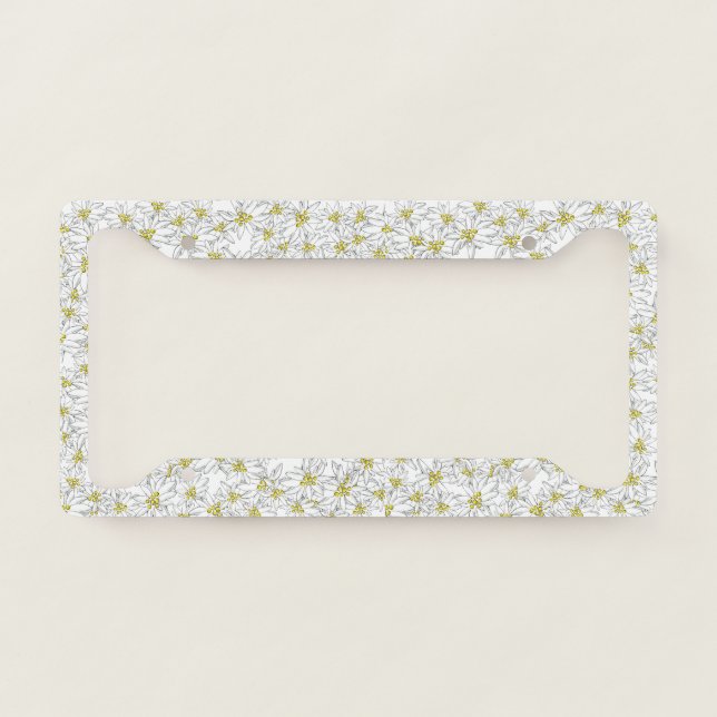 Edelweiss Whimsical Hand-Drawn Cute Alpine Floral  License Plate Frame (Front)