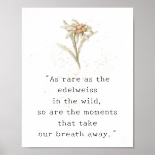 Edelweiss Wildflower Poster