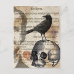Edgar Allan Poe The Raven Skull And Bird Postcard at Zazzle