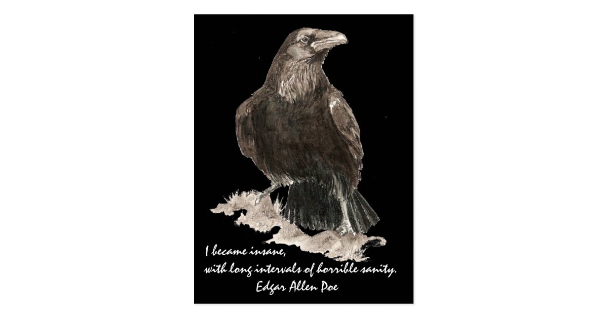 Edgar Allen Poe Insanity Quote Watercolor Raven Postcard Zazzle Com