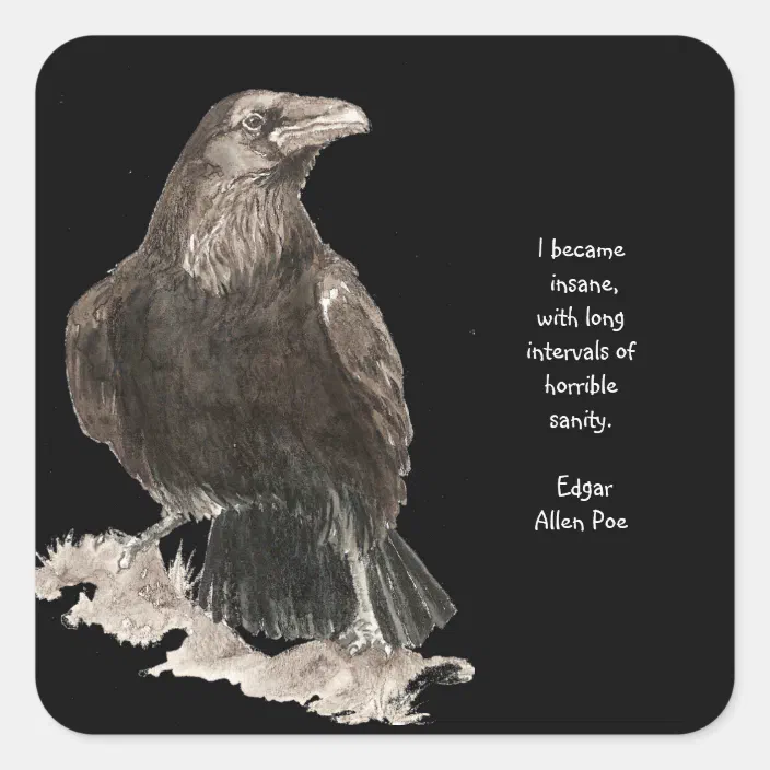 Edgar Allen Poe Insanity Quote Watercolor Raven Square Sticker Zazzle Com