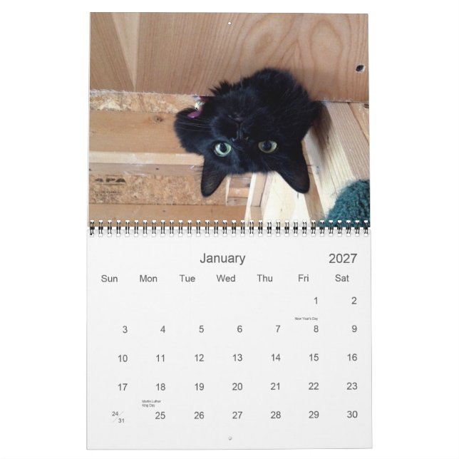 Edgar, Obi and Adara 2015 Cat Calendar (Jan 2027)