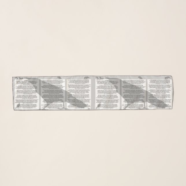 Edgar Poe The Raven Scarf (Front (Horizontal))