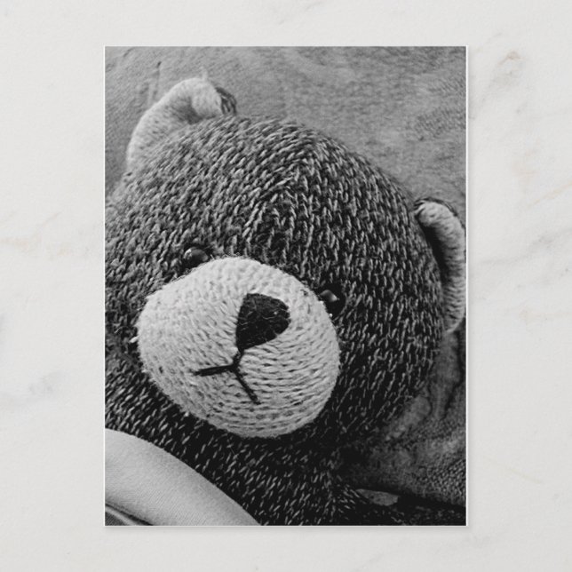 Edgar Shadows Sweet Teddy! Postcard (Front)