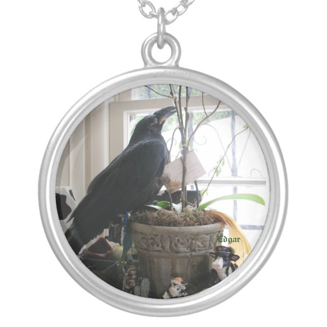Edgar the raven necklase silver plated necklace (Front)