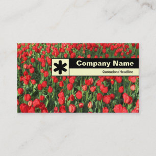 Edge Labeled - Bed of Red Tulips 02 Business Card