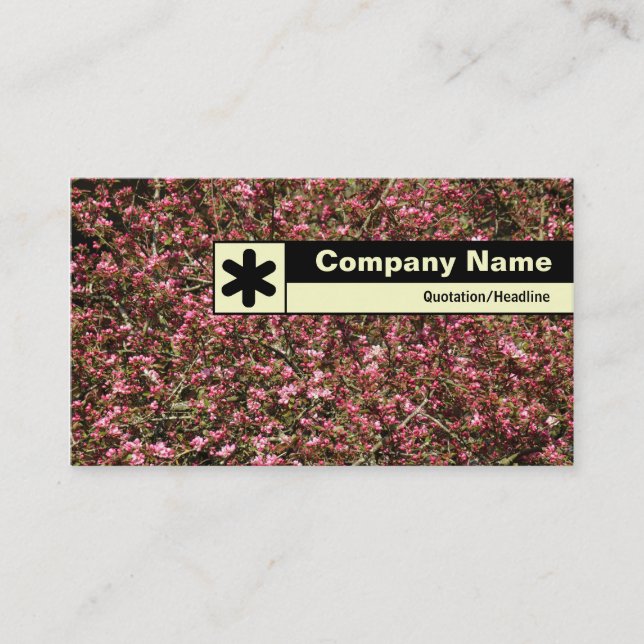 Edge Labeled - Cherry Blossom 02 Business Card (Front)