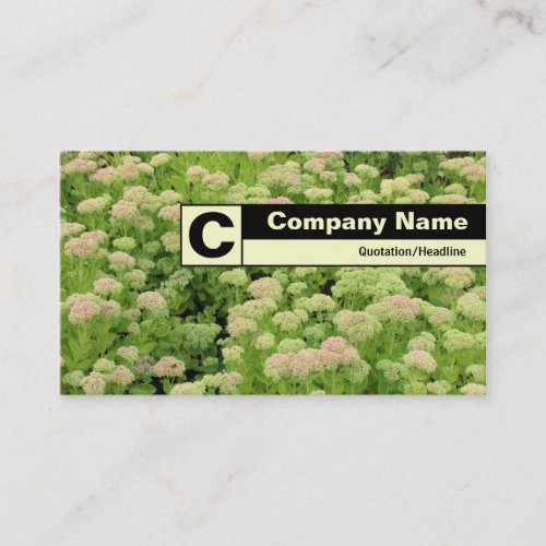 Edge Labeled Monogram _ Sedum Autumn Joy Business Card