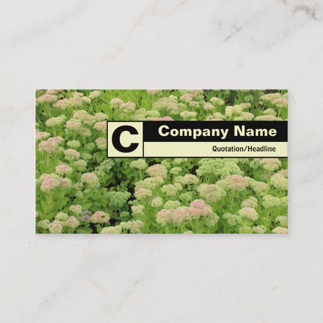Edge Labeled Monogram - Sedum (Autumn Joy) Business Card (Front)