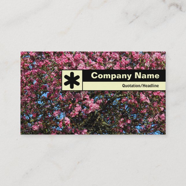 Edge Labeled - Pink Cherry Blossom Business Card (Front)