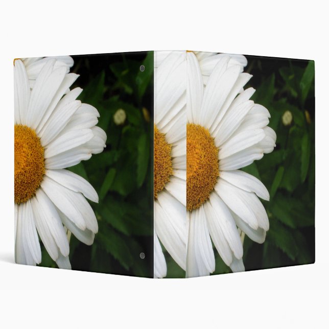 Edge Of A Daisy Binder (Background)