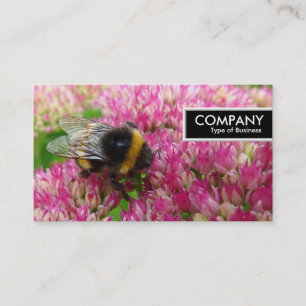 Edge Tag - Bumble Bee on Sedum