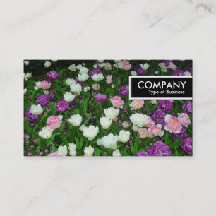Edge Tag - Colorful Tulips