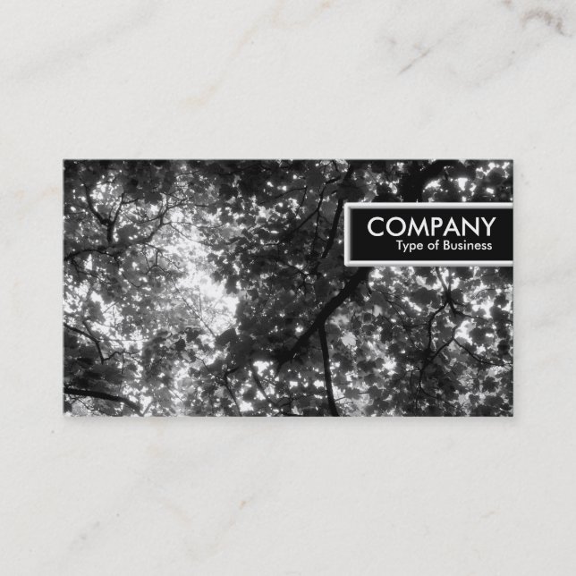 Edge Tag - In the Trees (Front)