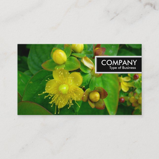 Edge Tag - St Johns Wort (Front)